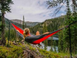 Immersed in Tranquility: Embracing Nature’s Beauty from the Hammock Haven