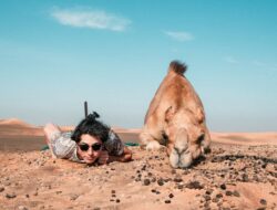 Resting in the Sands: Man and Camel under desert skies