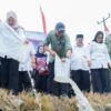 Restocking Ikan Jadi Usaha Nyata Pemprov Lampung Menjaga Ekosistem Sungai Mesuji
