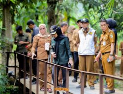 Bupati Pesawaran  Nanda Tinjau Sejumlah Infrastruktur di Kecamatan Punduh Pedada dan Marga Punduh