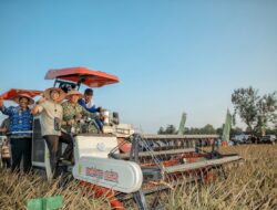 Gubernur Provinsi  Lampung Mirza dan Pangdam XXI/Radin Inten Ikuti Panen Raya TNI Serentak, Dukung Swasembada Pangan Nasional