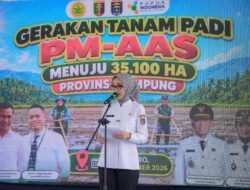 Pemprov Lampung Perkuat Pertanian Modern untuk Tingkatkan Produktivitas dan Pendapatan Petani