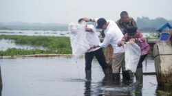 Gubernur Mirza Dukung Pengembangan Way Rarem Jadi Destinasi Wisata Unggulan Berbasis Budaya