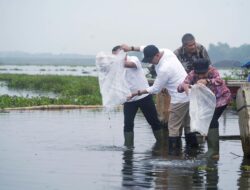 Gubernur Mirza Dukung Pengembangan Way Rarem Jadi Destinasi Wisata Unggulan Berbasis Budaya